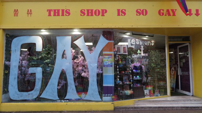 IMG 2329edit 768x432